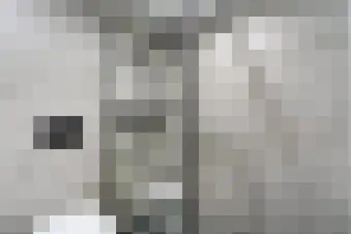 Meulpad 5 Koudekerke thumbnail 27