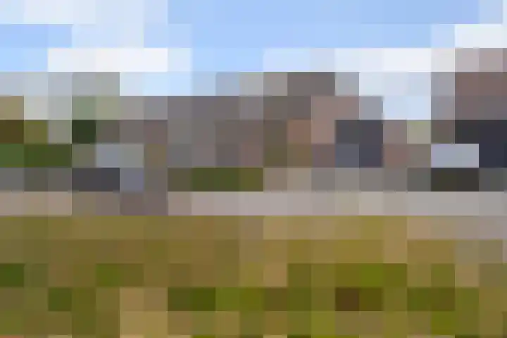 Meulpad 5 Koudekerke thumbnail 32