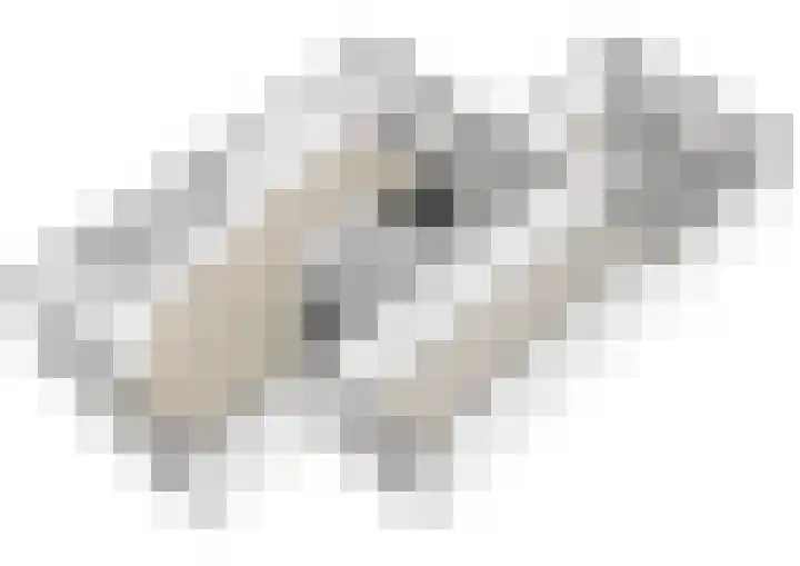 Meulpad 5 Koudekerke thumbnail 35