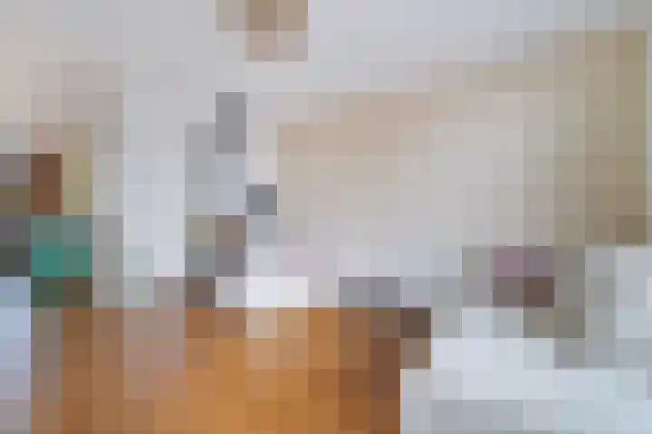 Meulpad 5 Koudekerke thumbnail 4