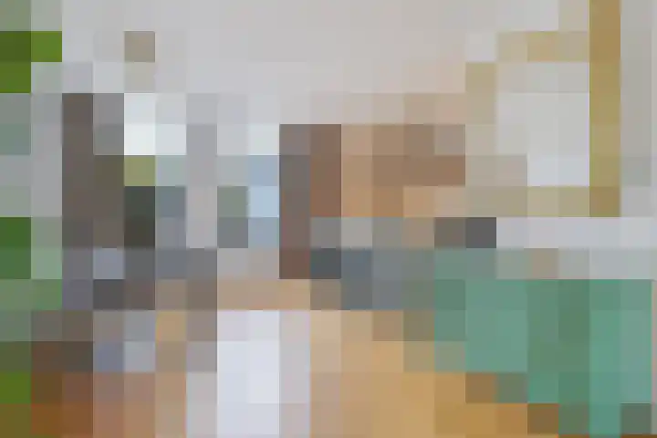 Meulpad 5 Koudekerke thumbnail 7