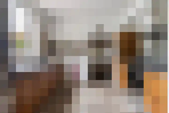 Meulunterse Engweg 2 Lunteren thumbnail 15