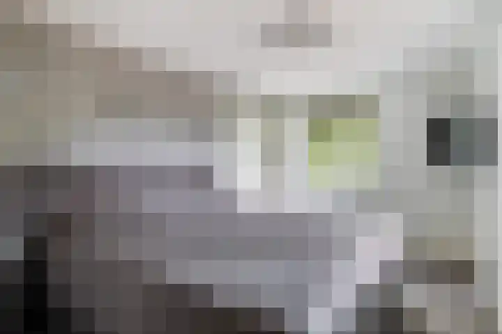 Meulunterse Engweg 2 Lunteren thumbnail 21