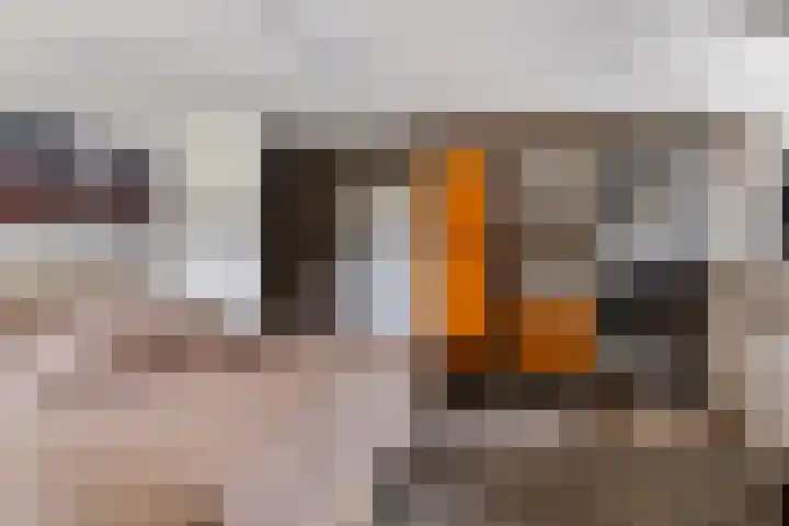 Meulunterse Engweg 2 Lunteren thumbnail 25