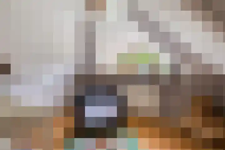 Meulunterse Engweg 2 Lunteren thumbnail 26