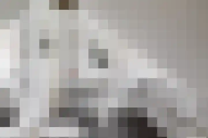 Meulunterse Engweg 2 Lunteren thumbnail 29