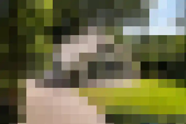 Meulunterse Engweg 2 Lunteren thumbnail 34
