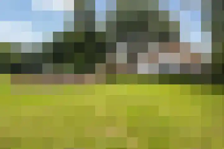 Meulunterse Engweg 2 Lunteren thumbnail 35