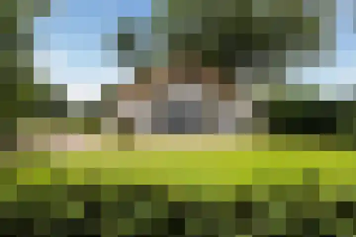 Meulunterse Engweg 2 Lunteren thumbnail 36