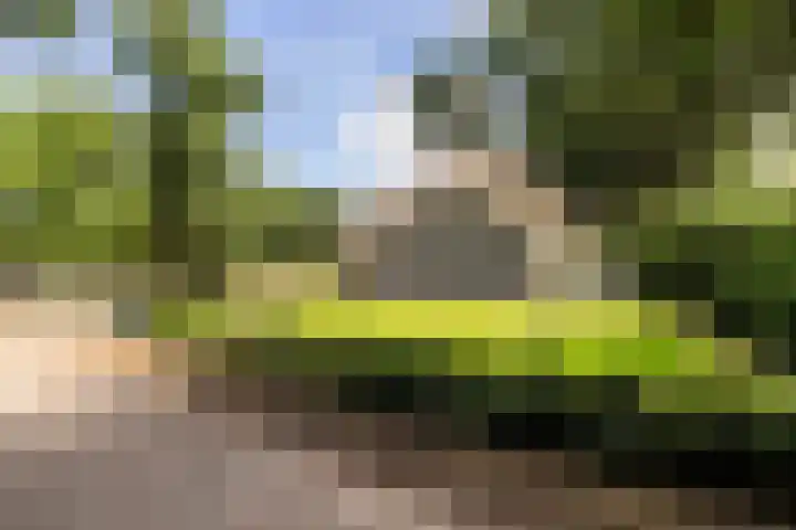 Meulunterse Engweg 2 Lunteren thumbnail 37