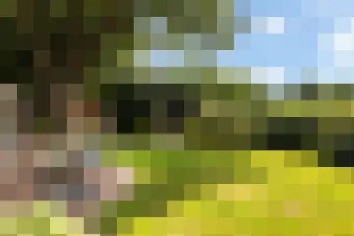 Meulunterse Engweg 2 Lunteren thumbnail 39