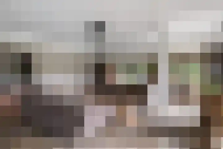 Meulunterse Engweg 2 Lunteren thumbnail 4