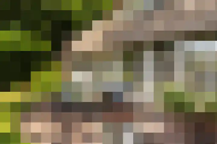 Meulunterse Engweg 2 Lunteren thumbnail 40