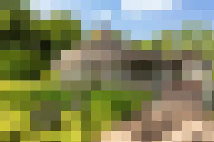 Meulunterse Engweg 2 Lunteren thumbnail 41