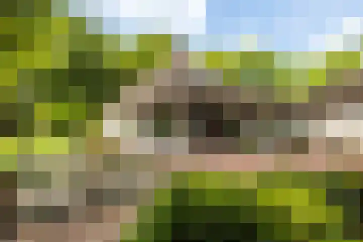 Meulunterse Engweg 2 Lunteren thumbnail 42