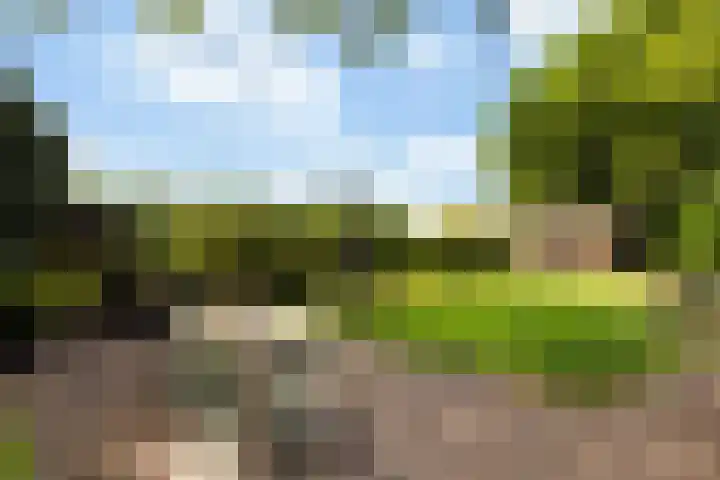 Meulunterse Engweg 2 Lunteren thumbnail 43