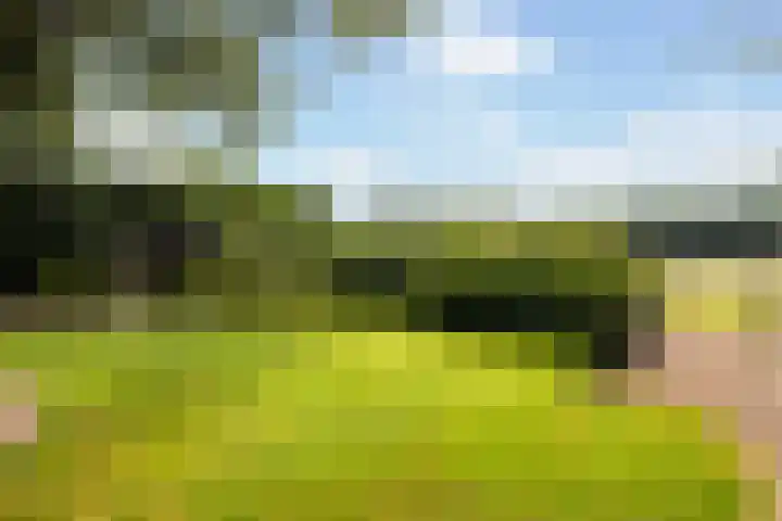Meulunterse Engweg 2 Lunteren thumbnail 44
