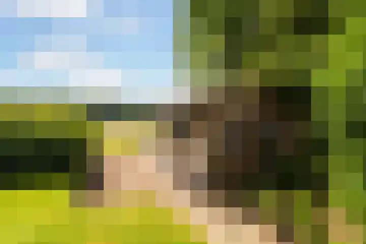 Meulunterse Engweg 2 Lunteren thumbnail 45