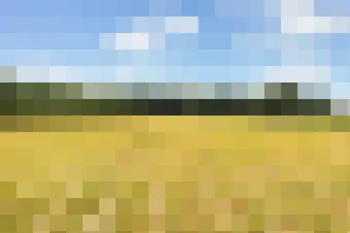 Meulunterse Engweg 2 Lunteren thumbnail 46