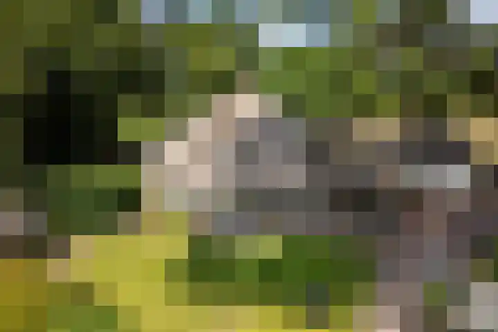 Meulunterse Engweg 2 Lunteren thumbnail 49