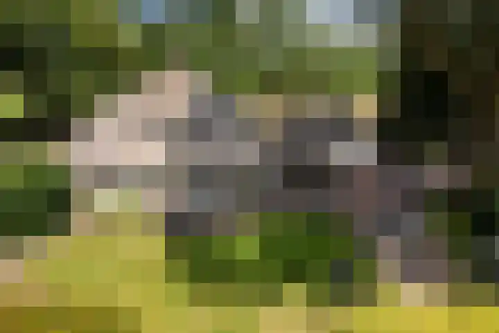Meulunterse Engweg 2 Lunteren thumbnail 50