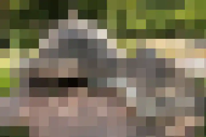 Meulunterse Engweg 2 Lunteren thumbnail 51