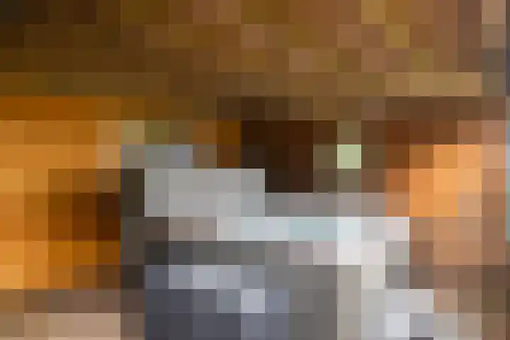 Meulunterse Engweg 2 Lunteren thumbnail 53