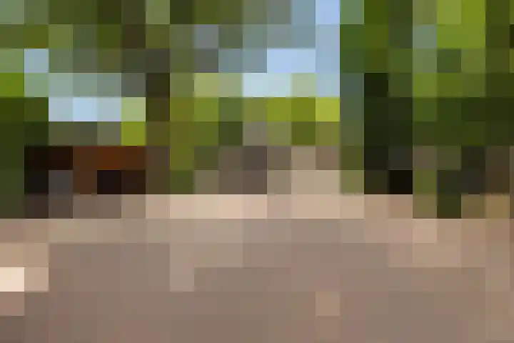 Meulunterse Engweg 2 Lunteren thumbnail 55
