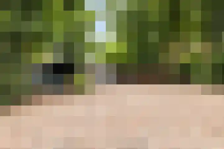 Meulunterse Engweg 2 Lunteren thumbnail 56