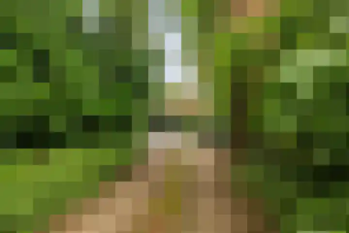 Meulunterse Engweg 2 Lunteren thumbnail 58