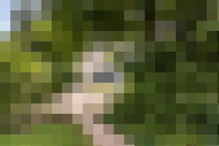 Meulunterse Engweg 2 Lunteren thumbnail 60