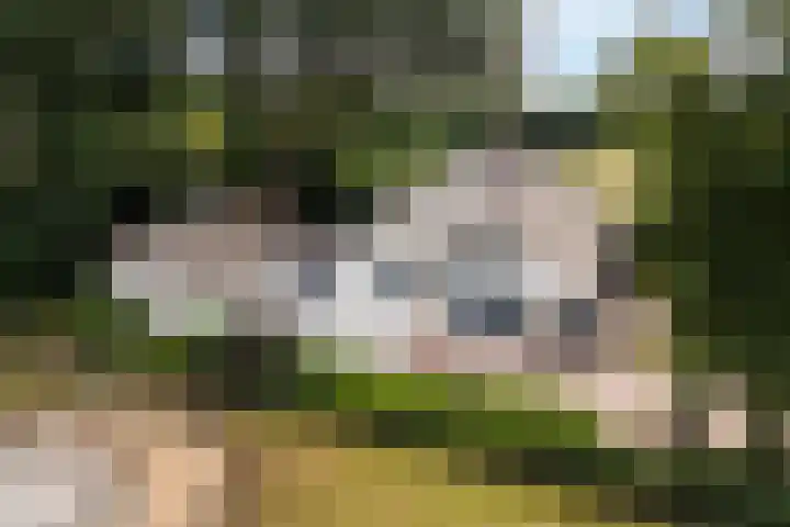 Meulunterse Engweg 2 Lunteren thumbnail 61