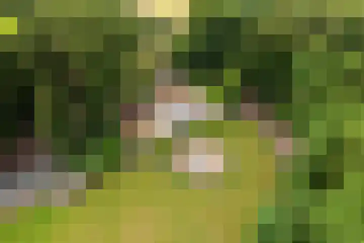 Meulunterse Engweg 2 Lunteren thumbnail 62