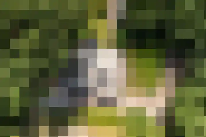 Meulunterse Engweg 2 Lunteren thumbnail 63