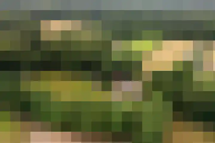 Meulunterse Engweg 2 Lunteren thumbnail 65