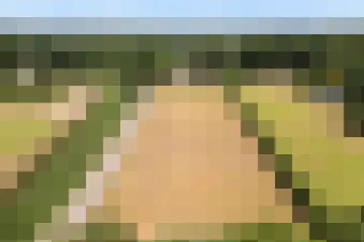 Meulunterse Engweg 2 Lunteren thumbnail 66