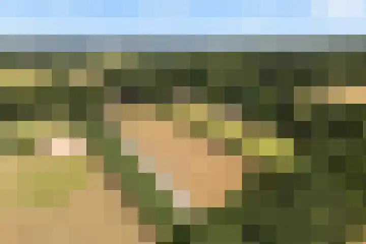 Meulunterse Engweg 2 Lunteren thumbnail 67