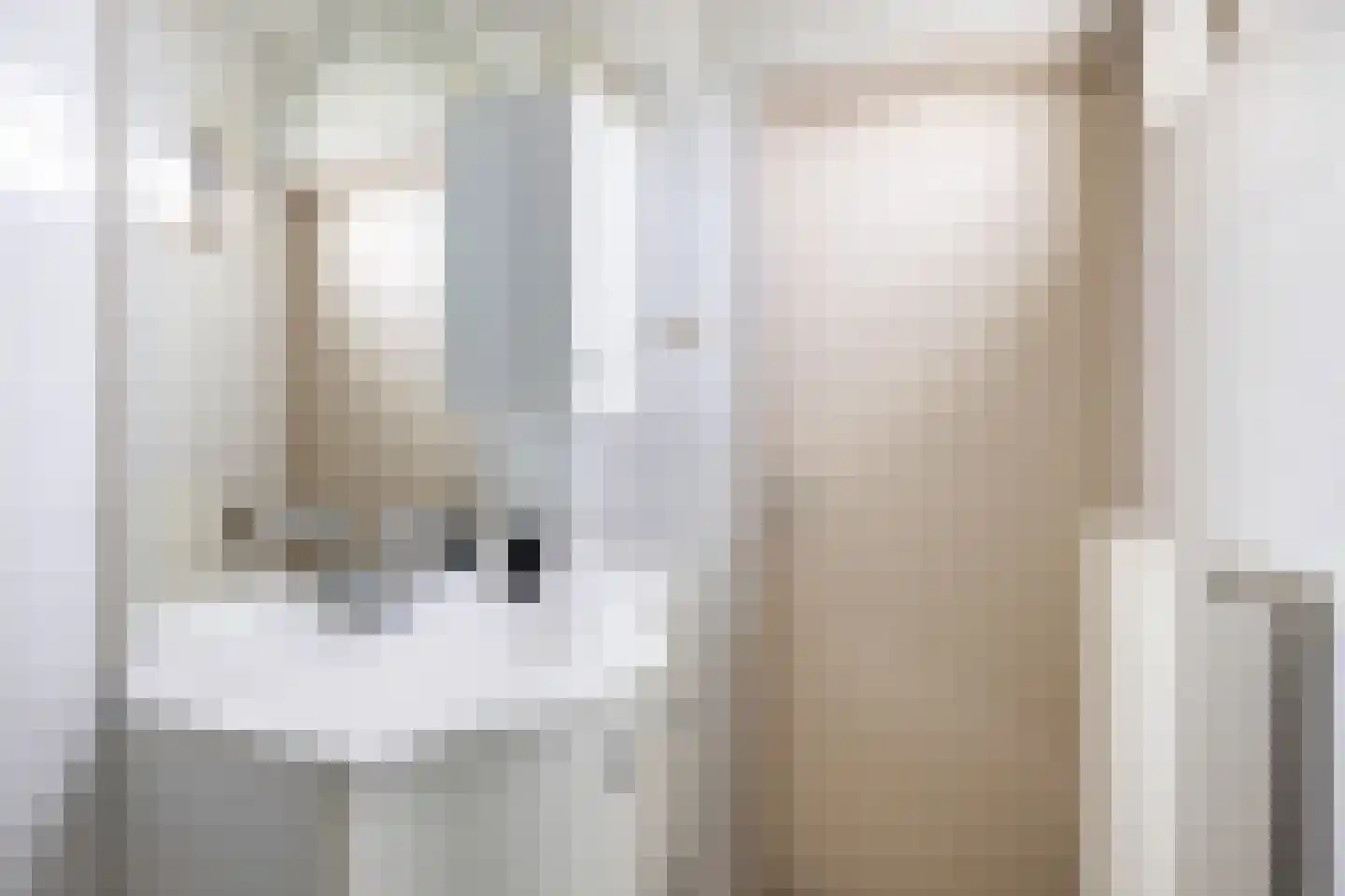 Meulunterseweg 114 Lunteren thumbnail 21