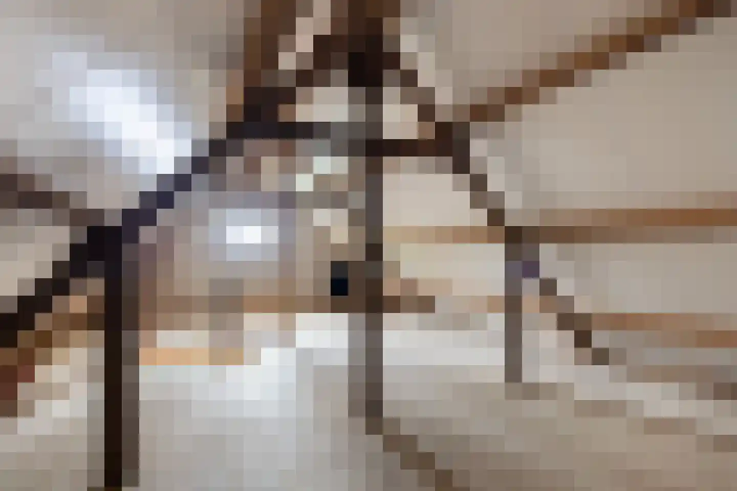 Meulunterseweg 114 Lunteren thumbnail 34