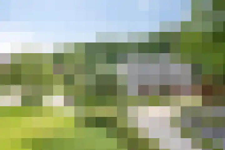 Meulunterseweg 14 Lunteren thumbnail 10