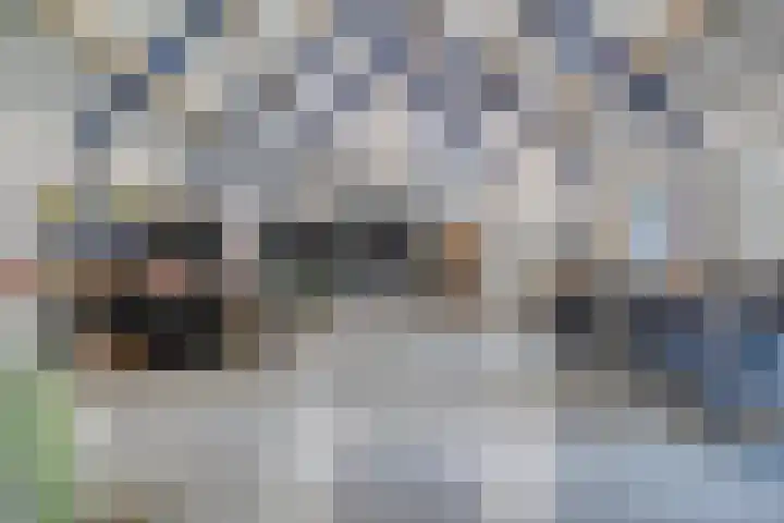 Meulunterseweg 14 Lunteren thumbnail 102