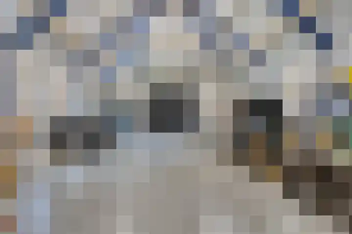 Meulunterseweg 14 Lunteren thumbnail 103