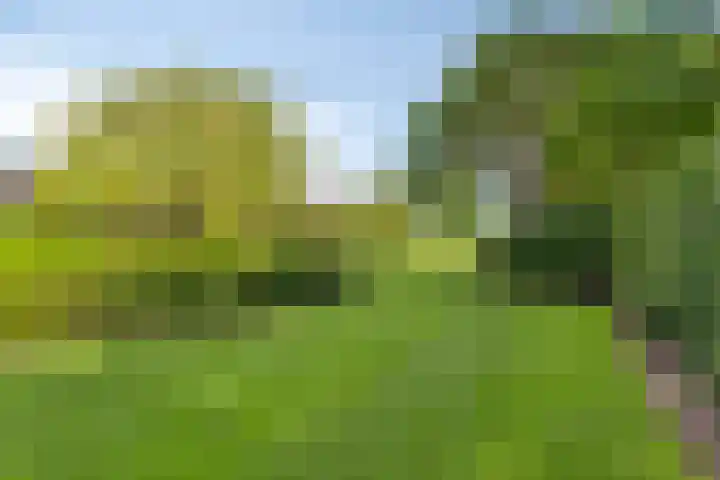 Meulunterseweg 14 Lunteren thumbnail 104