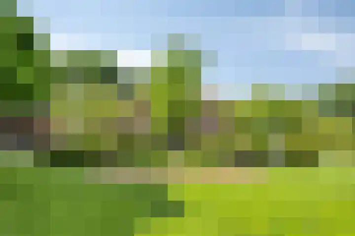 Meulunterseweg 14 Lunteren thumbnail 105