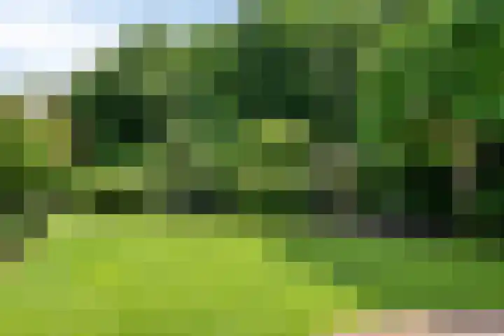 Meulunterseweg 14 Lunteren thumbnail 106