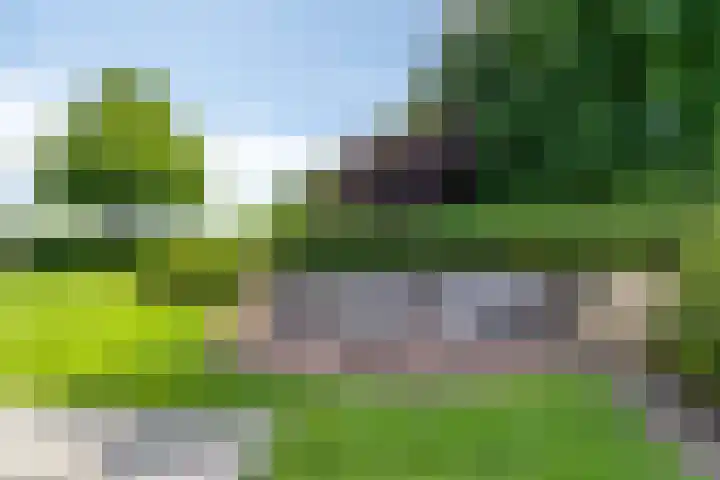 Meulunterseweg 14 Lunteren thumbnail 107