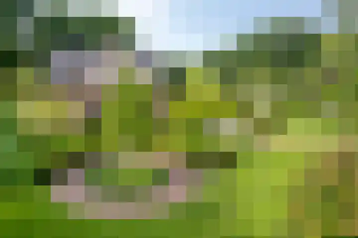 Meulunterseweg 14 Lunteren thumbnail 108