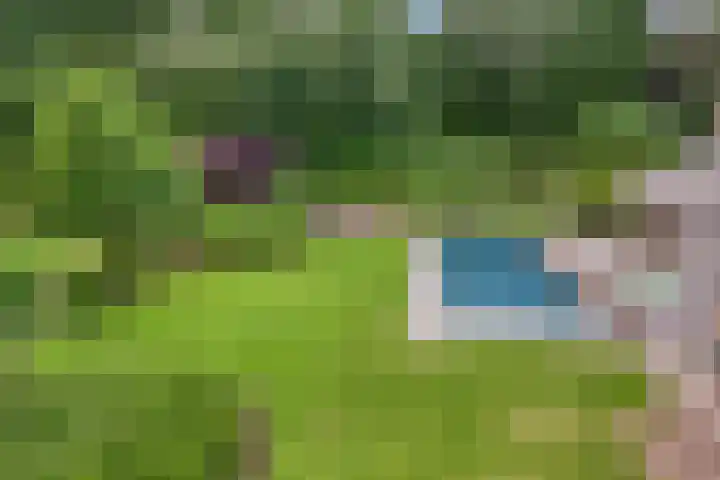Meulunterseweg 14 Lunteren thumbnail 111