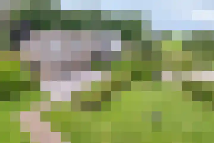 Meulunterseweg 14 Lunteren thumbnail 112
