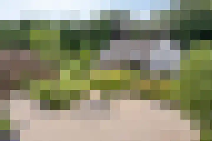 Meulunterseweg 14 Lunteren thumbnail 113